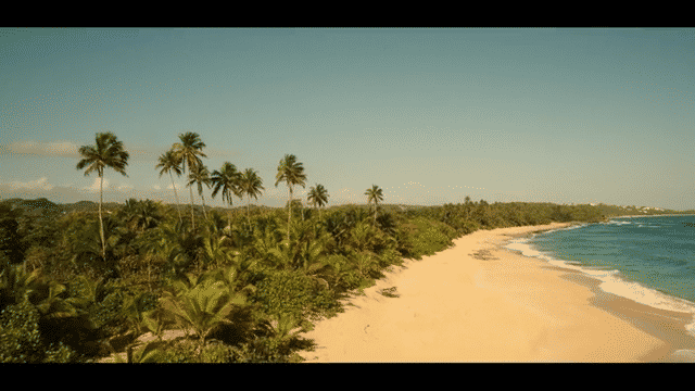 Puerto Rico drone shot comning over the ocean into the treeline